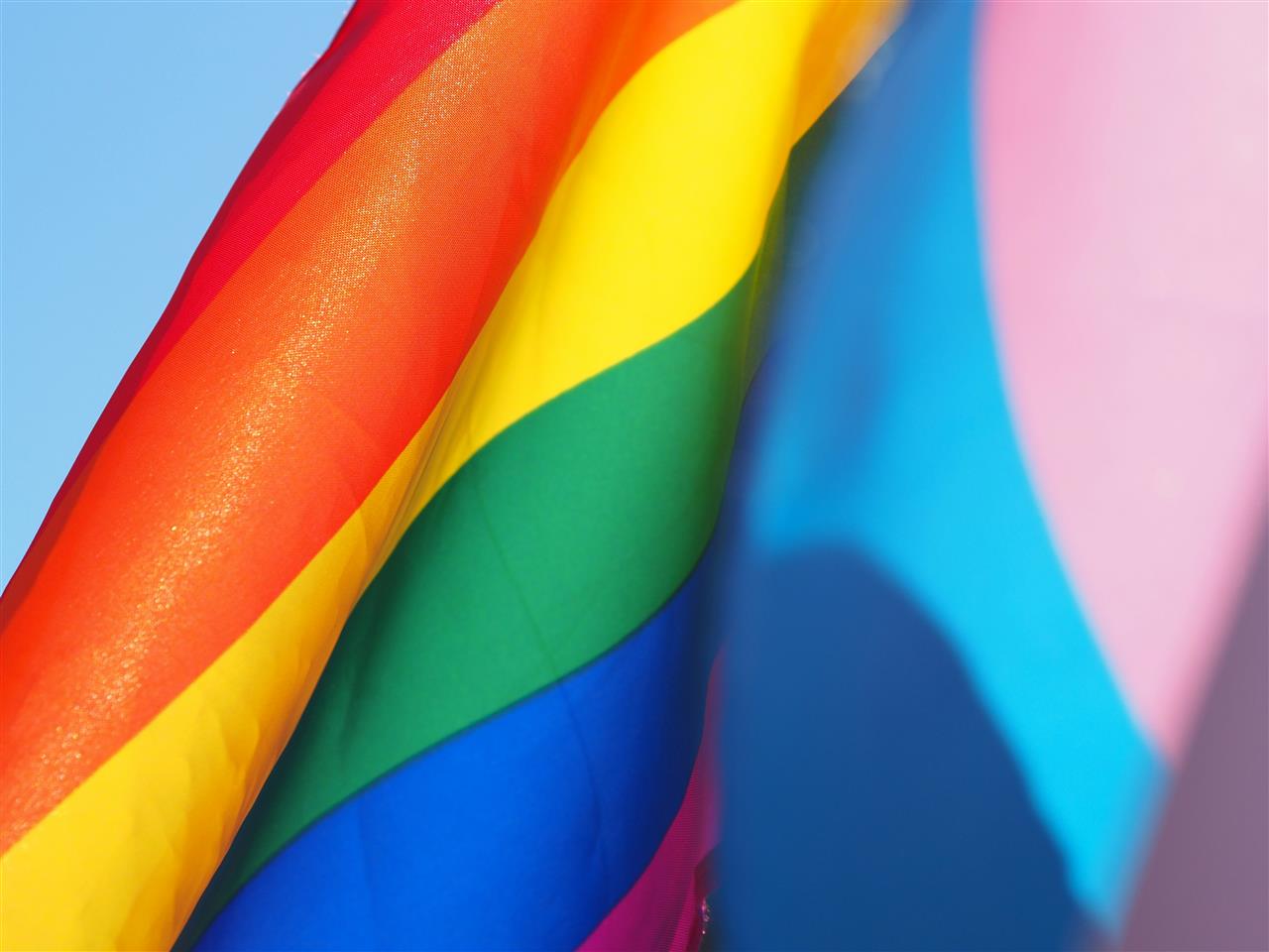 Hæv barren med officielle Pride flag og regnbueflag fra Langkilde & Søn