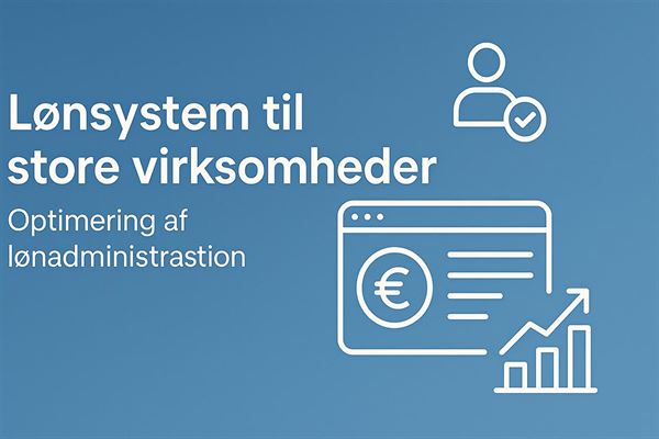Lønsystem til store virksomheder - optimering af lønadministration